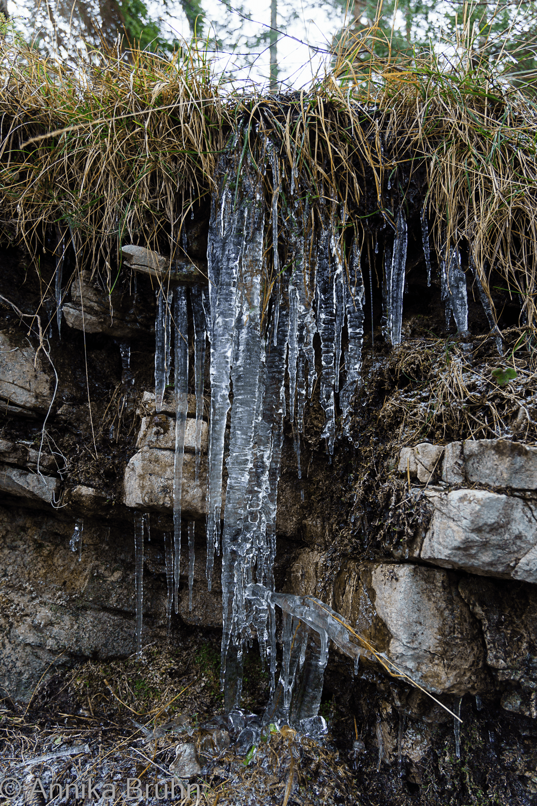 Es wird kalt, die ersten Eiszapfen sind schon da!